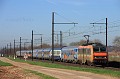 BB 26007